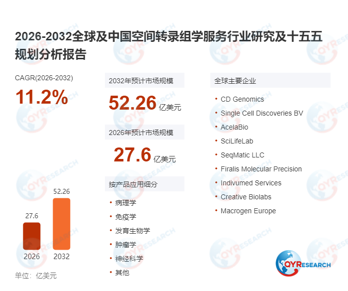 <span style="color: #003C9F;">空间转录组学服务</span>市场提速：2025年25.06亿起步，2032年52.26亿预期，11.2%复合增速锚定行业新高度