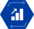 an_icon1